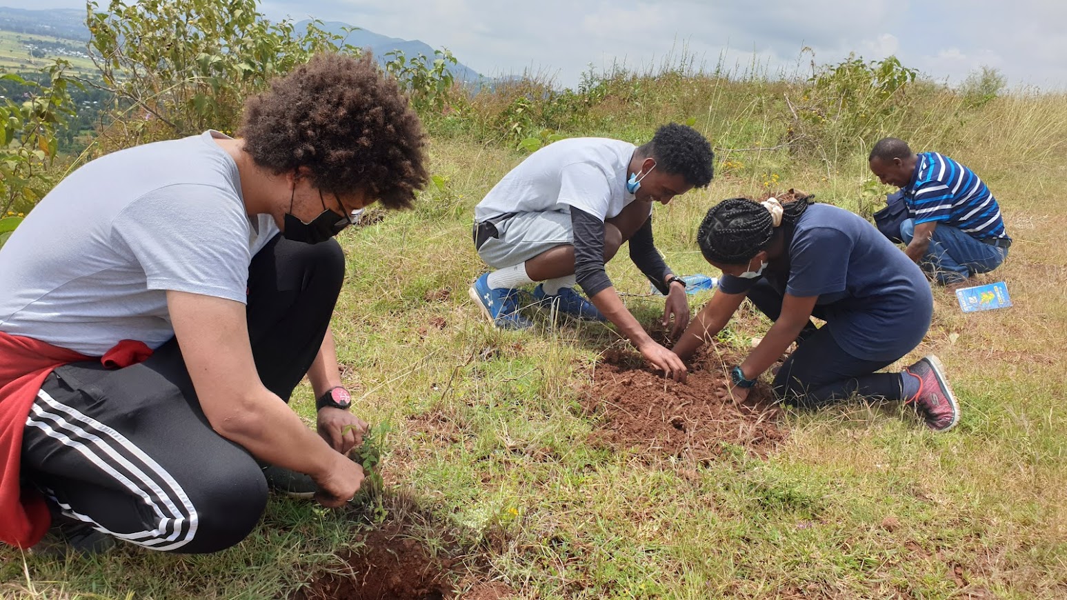 Young people planting seedlings
