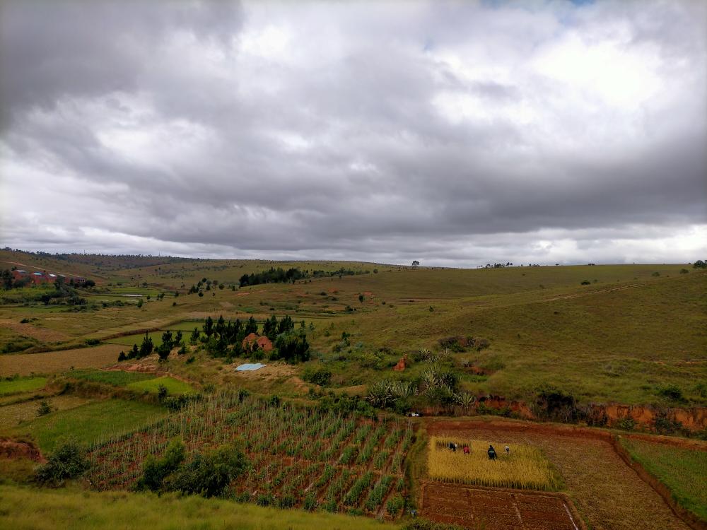Photo 1: In the highlands of Madagascar, bare hills are connected to farmland in the valley. Lowland fields serve as the primary source of food, nutrition, and household income for smallholder farmers.