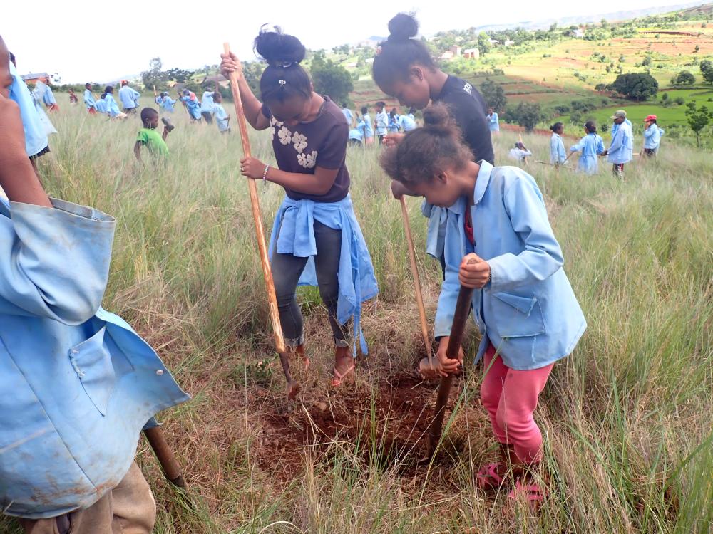Photo 7: Schoolgirls dig a hole for planting trees. In 2023, more than 1500 tree seedlings have been planted with the power of 1000 students and schoolteachers in the Antohobe region bordering the city of Antsirabe in Madagascar.