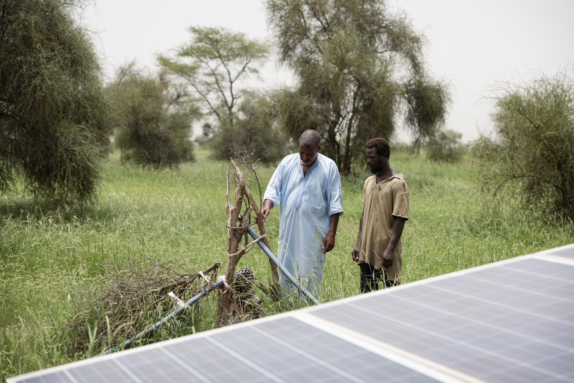 Two men with photovoltaic panel.