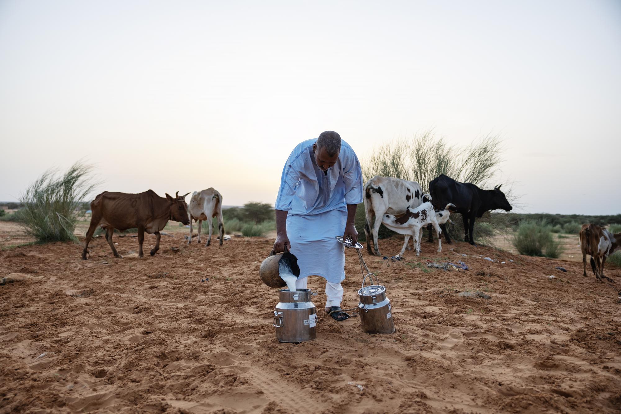 Photo Story AD CT Photo 6