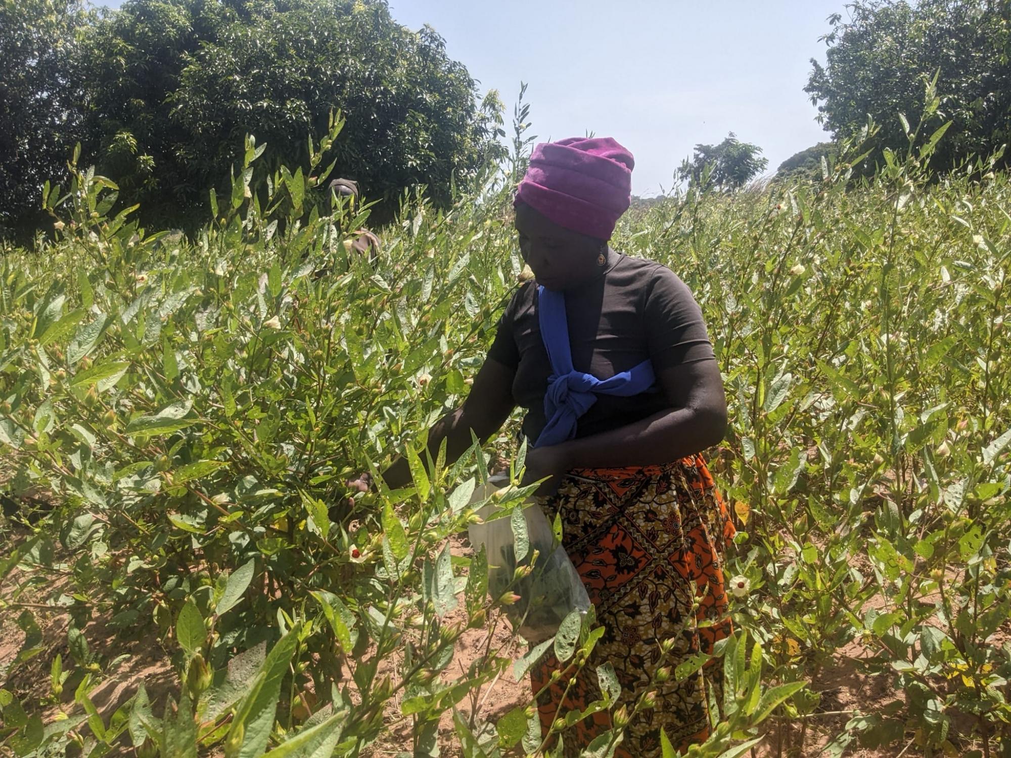 Photo Story Cecile Poitevin CT Photo 3