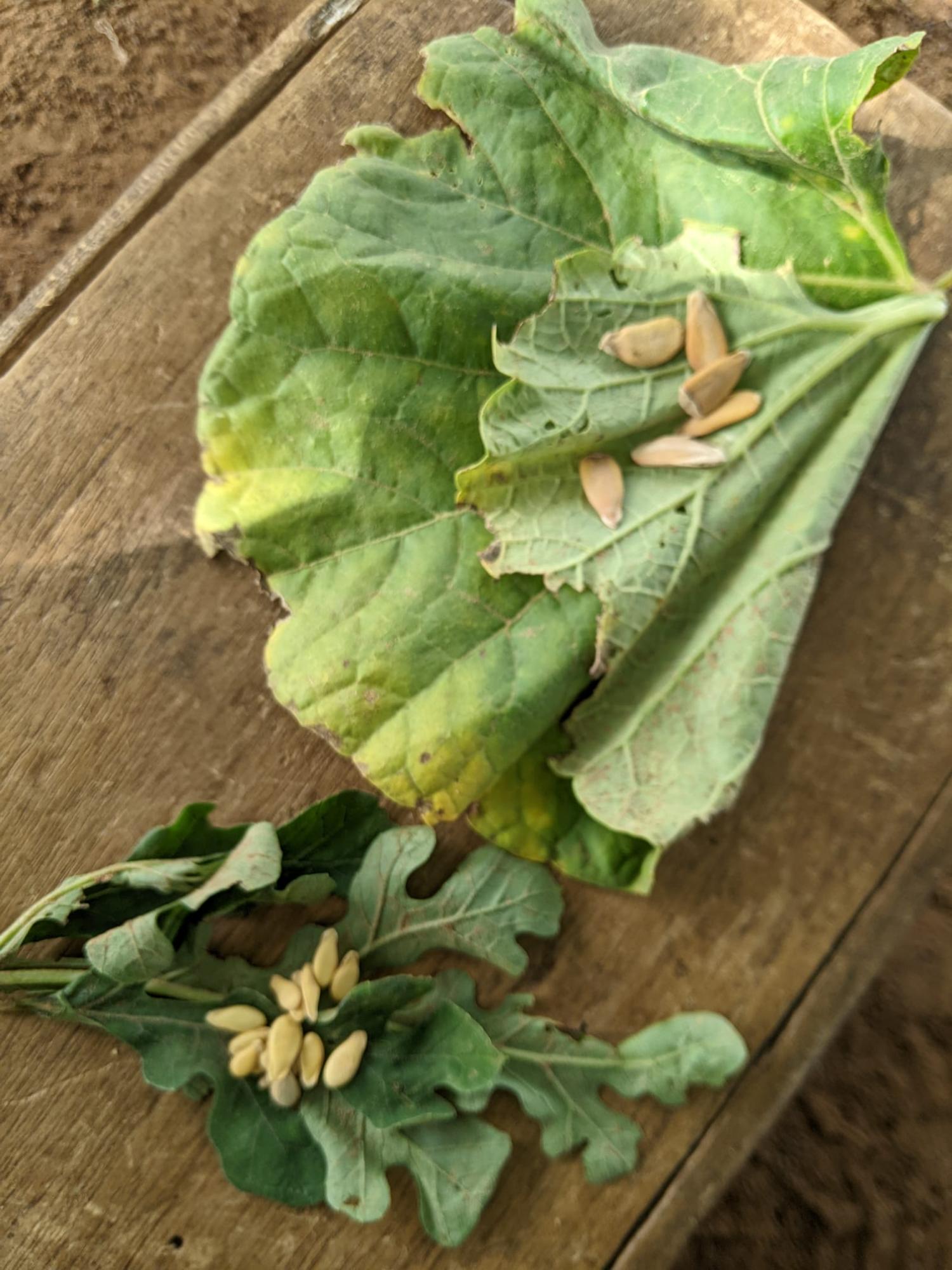 Photo Story Cecile Poitevin CT Photo 6