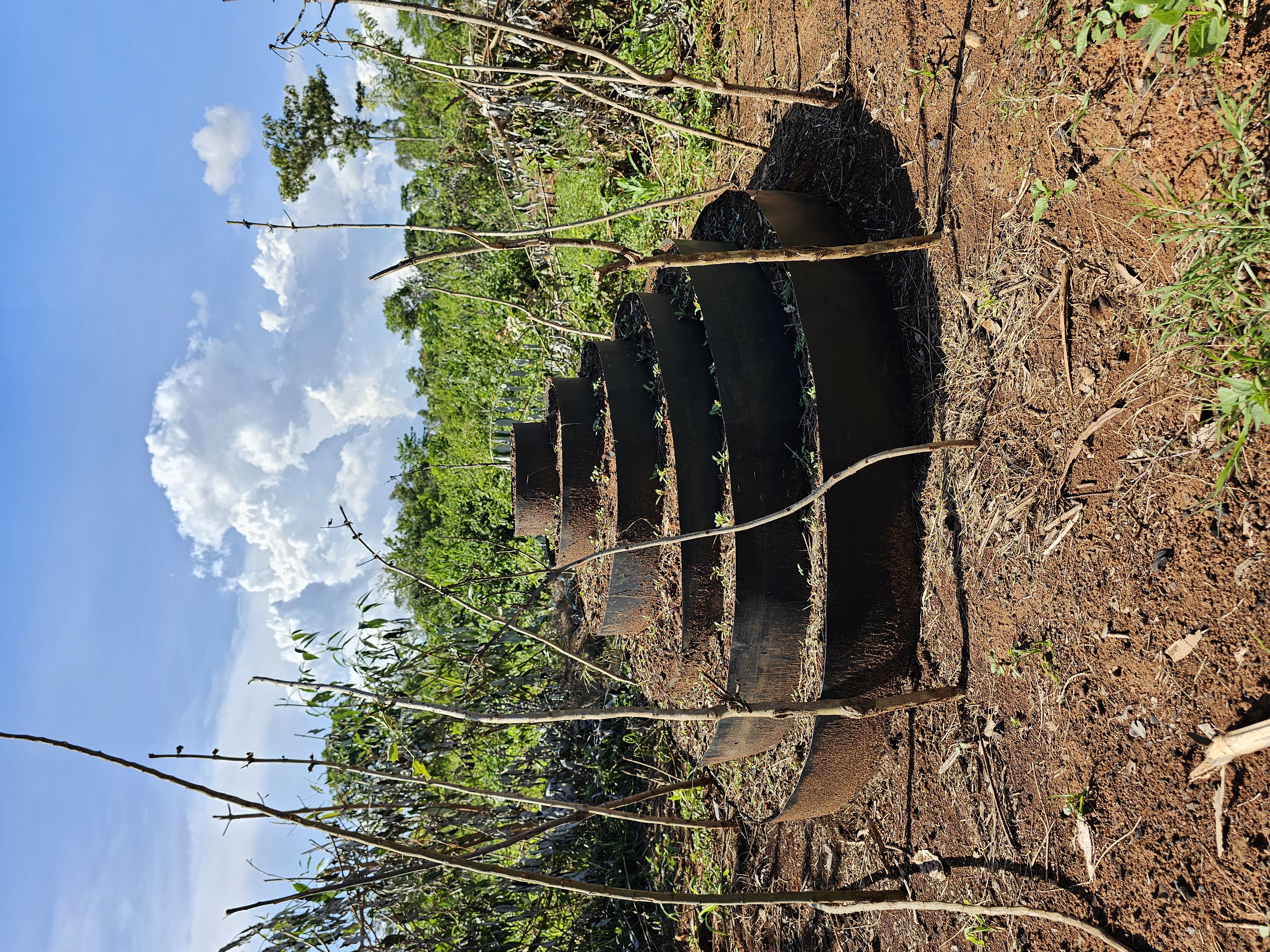 Preparing vertical garden.