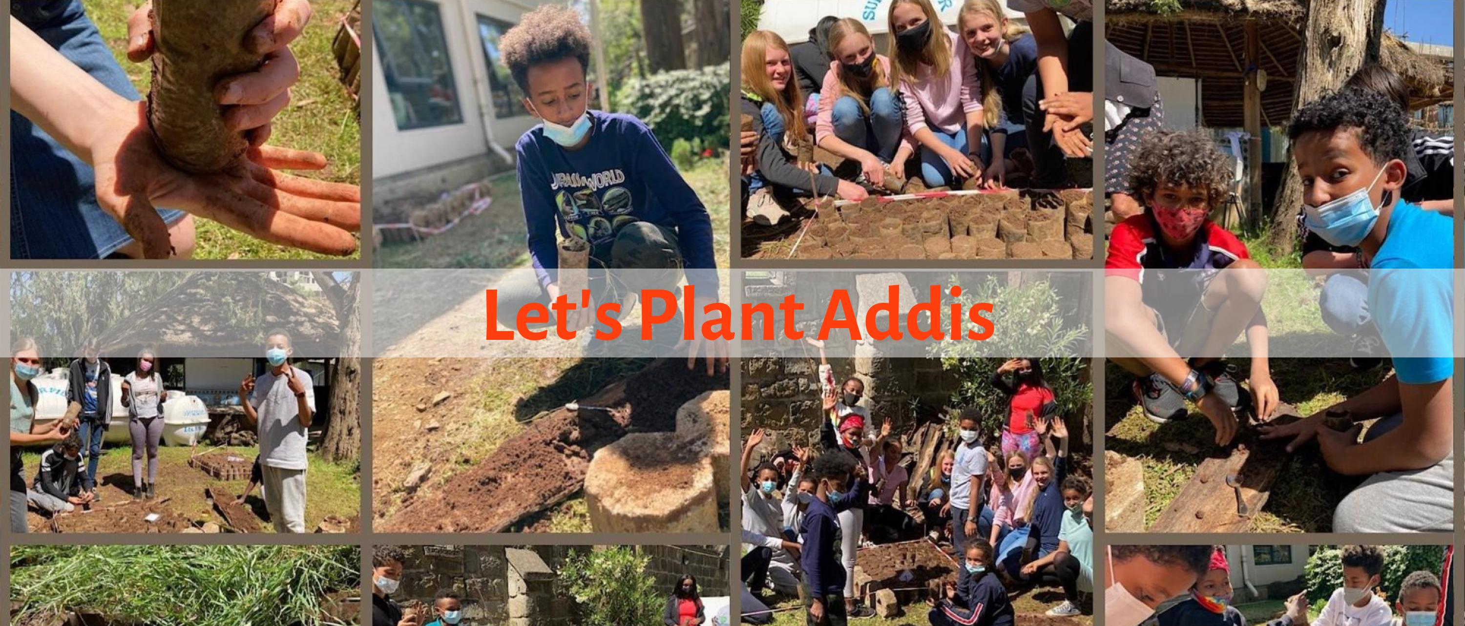 Collage of students planting trees.